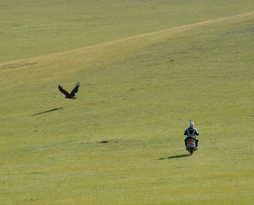Mongolia by Motorcycle